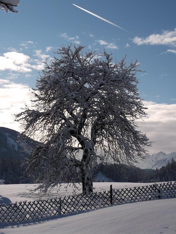 Anno Tyrol Βίλα Biberwier Εξωτερικό φωτογραφία